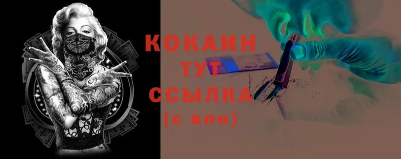 COCAIN Боливия  Кадников 